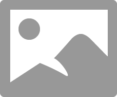 TAB_0-1743148052291.png
