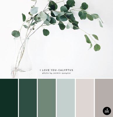 eucalyptus-green-gray-color-palette-natural.jpg