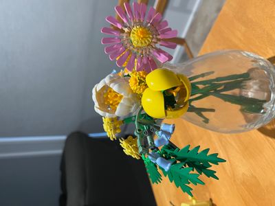 IMG_6809.jpeg